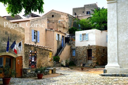 PIGNA