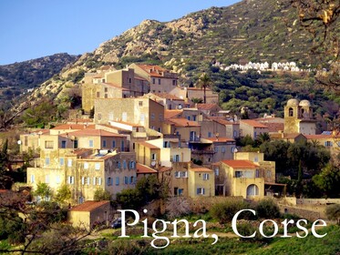 PIGNA